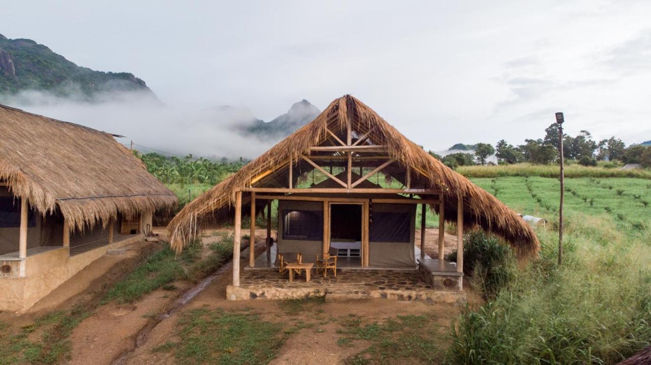 加尔格穆沃 Wild Glamping Gal Oya - Thema Collection酒店 外观 照片