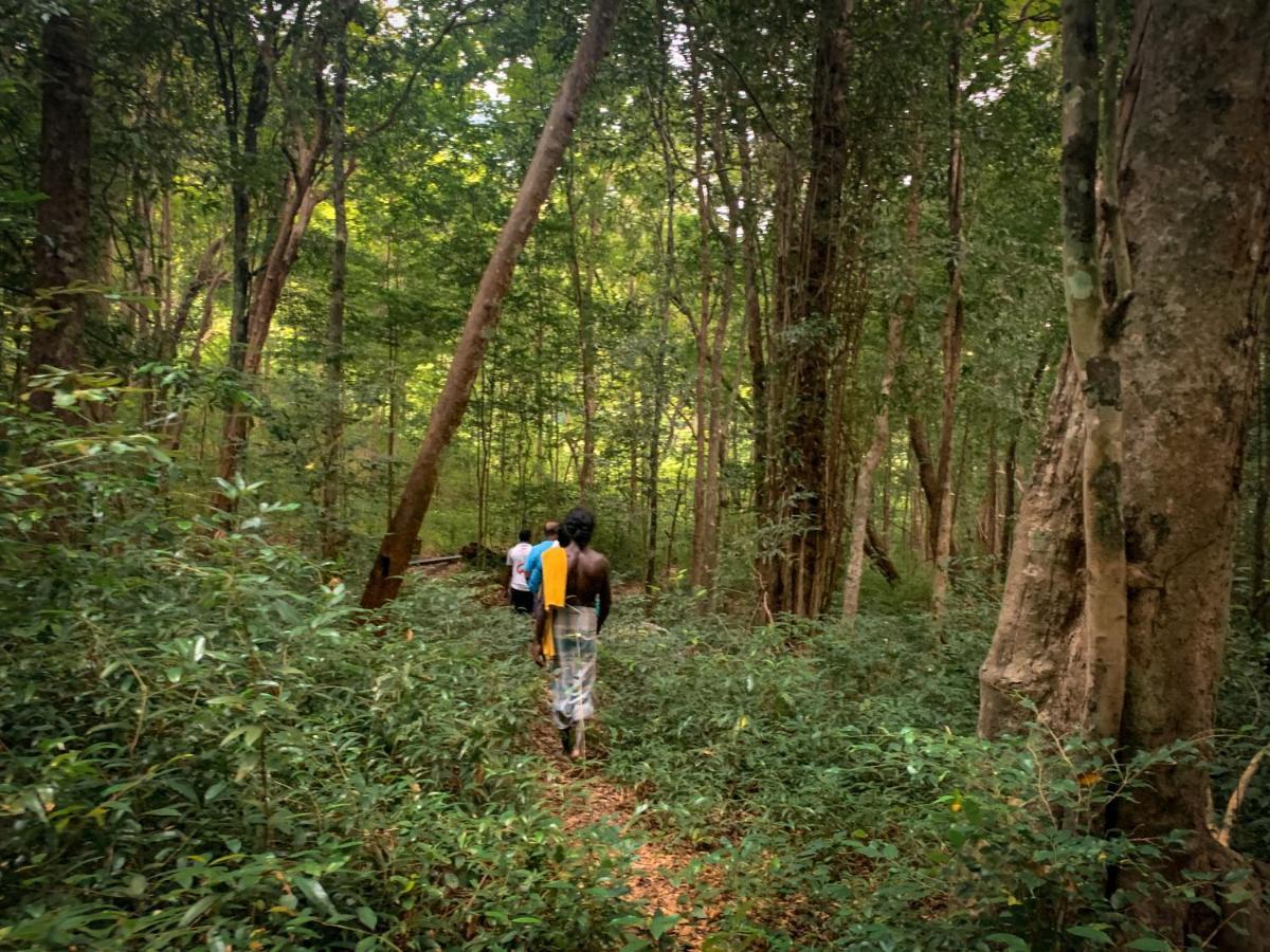 加尔格穆沃 Wild Glamping Gal Oya - Thema Collection酒店 外观 照片
